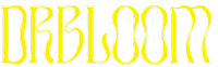 Dr Bloom