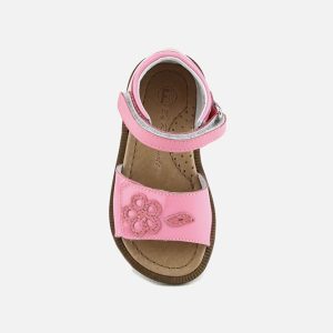 ANEMONE VERNIS ROSE – Image 6