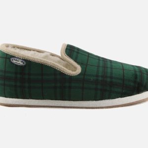 BIENVENUE ECOSSAIS VERT - Image 1