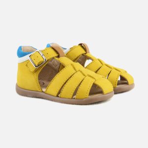 RUAN JAUNE CA - Image 7