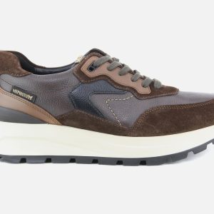 CRUZ CHESTNUT - Image 1
