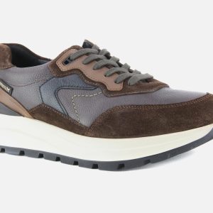 CRUZ CHESTNUT - Image 2