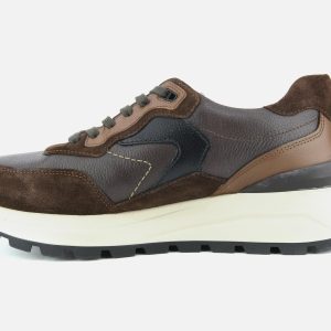 CRUZ CHESTNUT - Image 4