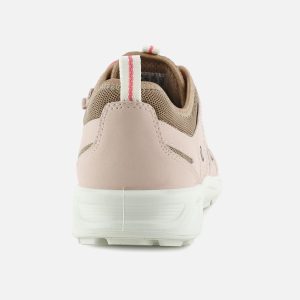 TERRA CRUISE LOW BLUSH - Image 3