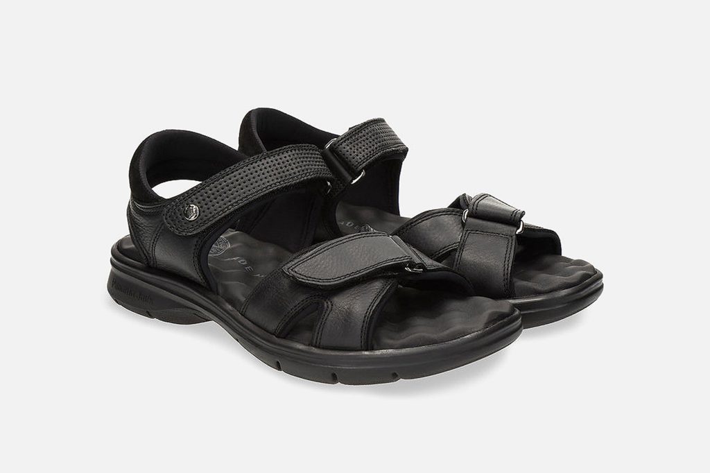 SANDERS BLACK
