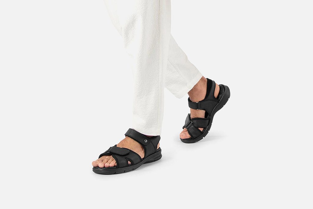 SANDERS BLACK