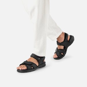 SANDERS BLACK - Image 5