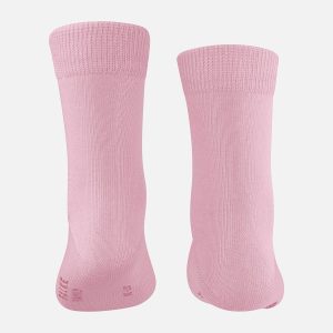 FAMILY ROSA - Image 2