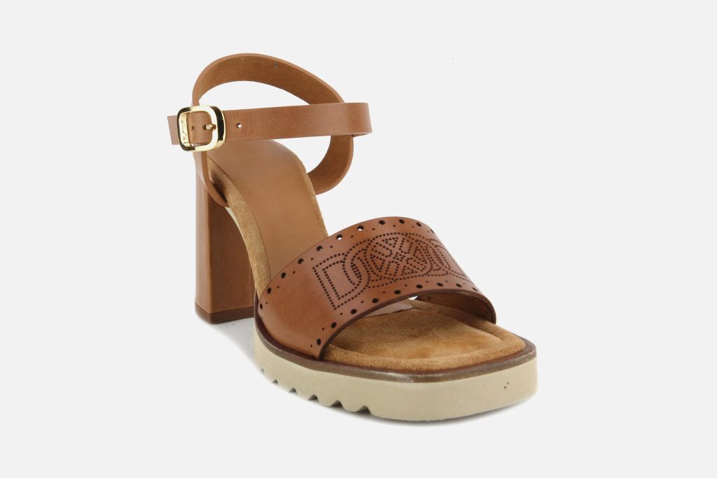 SONAR CAMEL SH