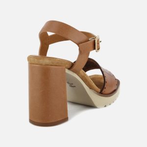 SONAR CAMEL SH – Image 3