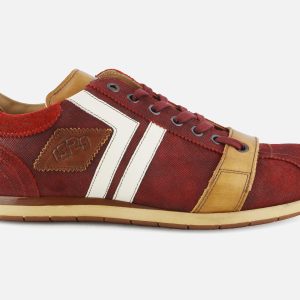 TIFO 030 WINE ANTIC TAN – Image 1