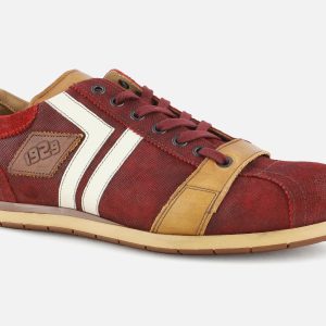 TIFO 030 WINE ANTIC TAN – Image 2