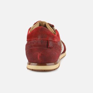 TIFO 030 WINE ANTIC TAN – Image 3