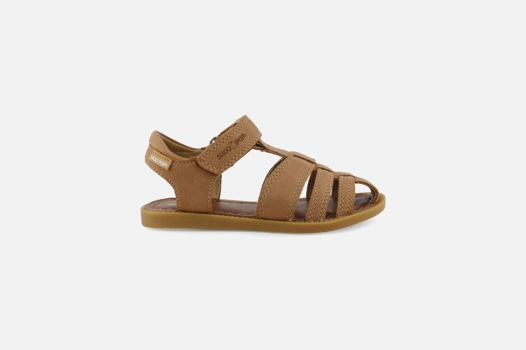 SOLAR TONTON NEW CAMEL