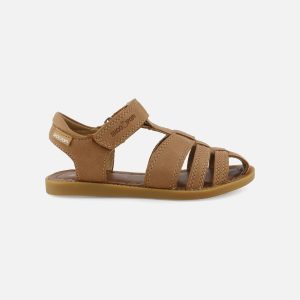 SOLAR TONTON NEW CAMEL – Image 1