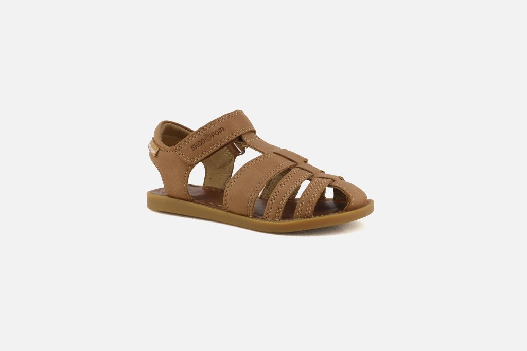 SOLAR TONTON NEW CAMEL