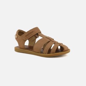 SOLAR TONTON NEW CAMEL – Image 2