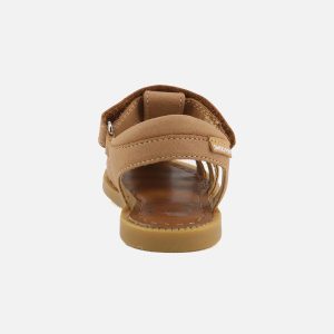 SOLAR TONTON NEW CAMEL – Image 3