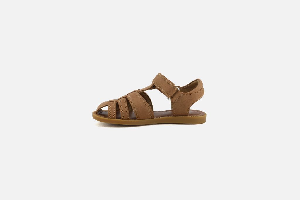 SOLAR TONTON NEW CAMEL