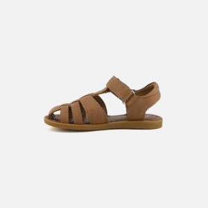 SOLAR TONTON NEW CAMEL – Image 4