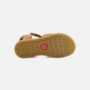 SOLAR TONTON NEW CAMEL – Image 5