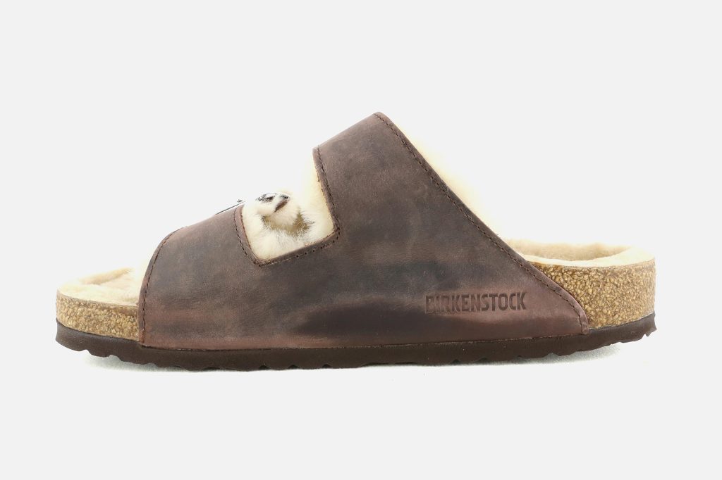 ARIZONA BB FUR BROWN LEOI