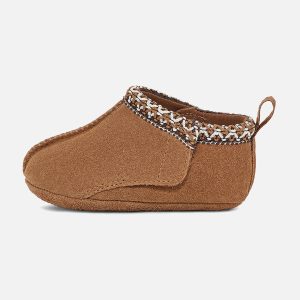 TASMAN BABY CHESTNUT - Image 4