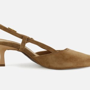 PRIMEVERE NOISETTE – Image 3