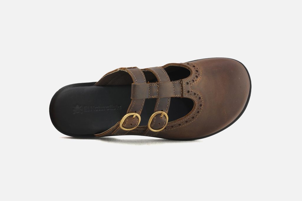 ARENISCA CLOG TERRA