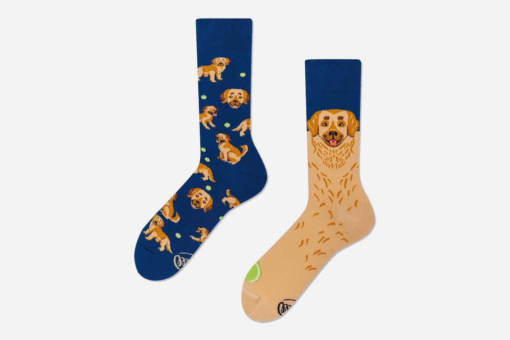 SOCKS GOLDEN BOY