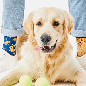 SOCKS GOLDEN BOY - Image 3