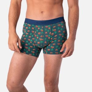 BOXER KINAI KHAKI – Image 2