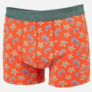BOXER SEAHORSE ORANGE – Image 1