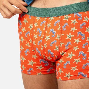 BOXER SEAHORSE ORANGE – Image 2