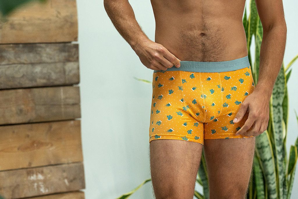 BOXER SAGUARO