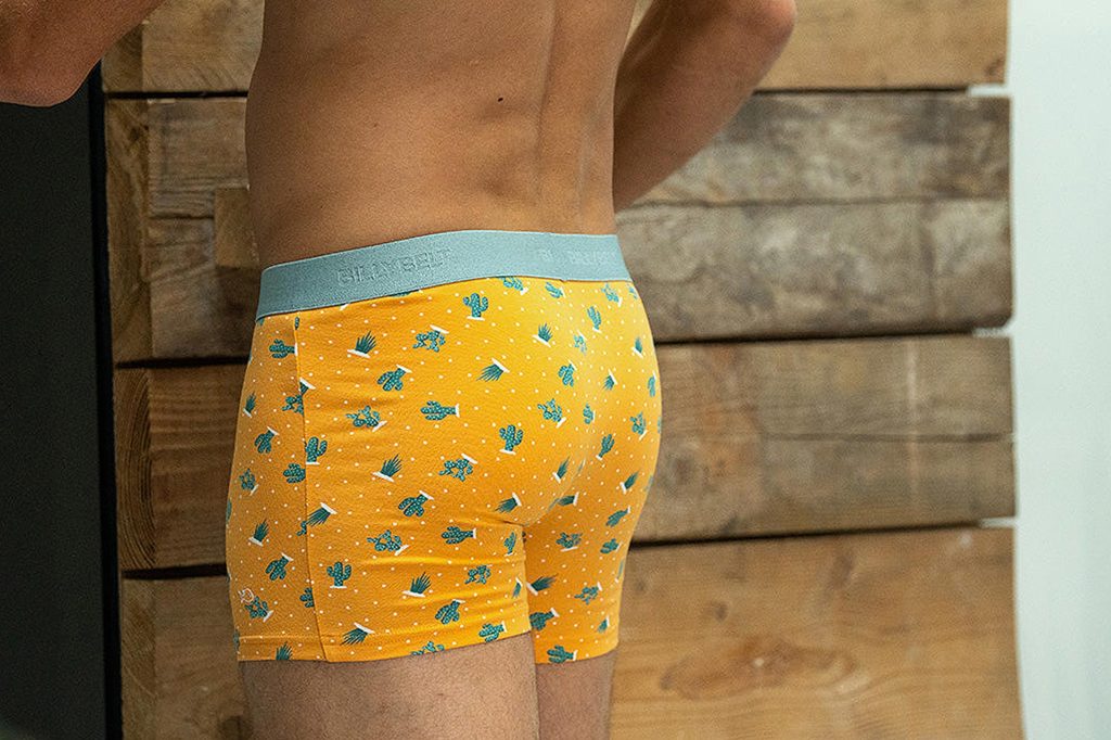 BOXER SAGUARO