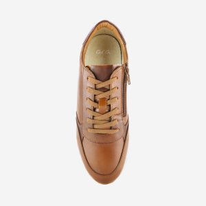 ARA GINO COGNAC BORDEAUX - Image 3