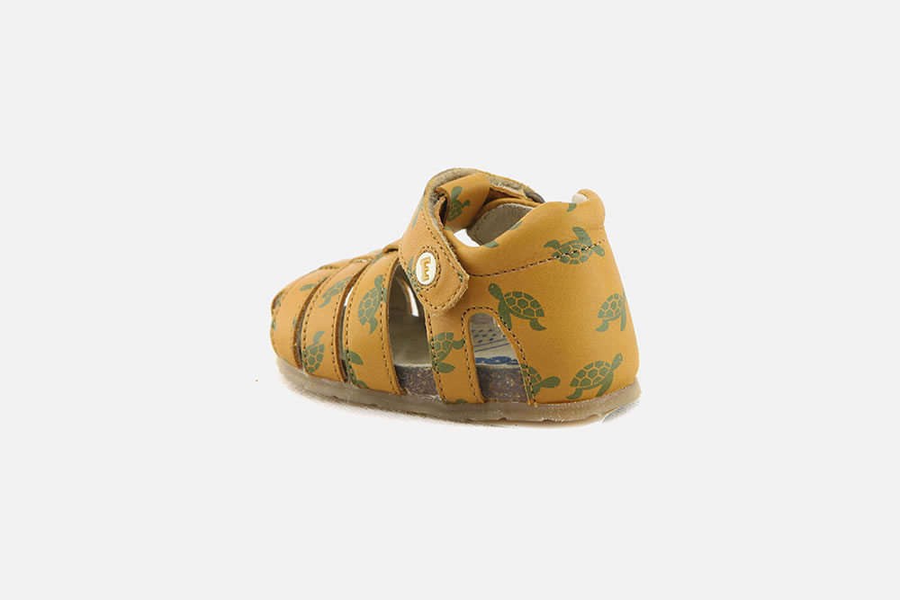 PITCHOUN TURTLES