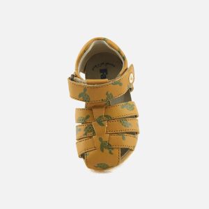 PITCHOUN TURTLES - Image 5