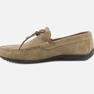 INDIANA VELOUR FAUVE – Image 4