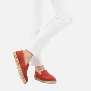 EICOS ORANGE - Image 6