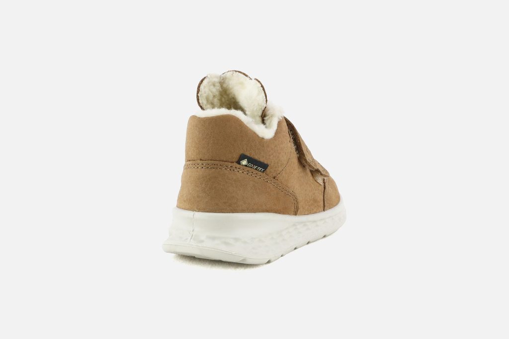 HECTOR NOISETTE TEDDY GTX