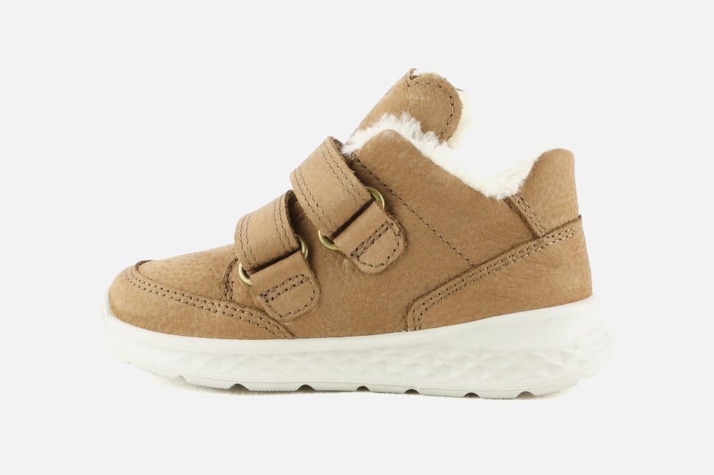 HECTOR NOISETTE TEDDY GTX