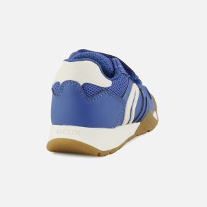 RANN ROYAL BLUE - Image 3