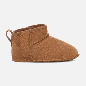 ULTRA MINI BABY CHESTNUT - Image 1