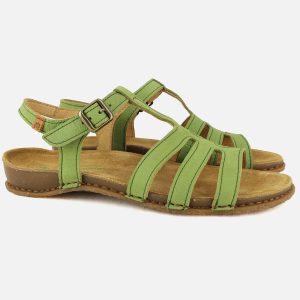 PANGLAO T STRAP LICHEN – Image 7