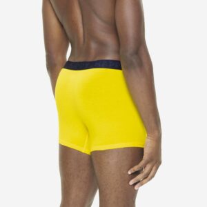 HAPPY PICKLE BOXER YELLOW - Image 4