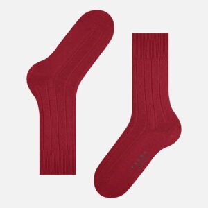 LHASA RIB INGLE – Image 4